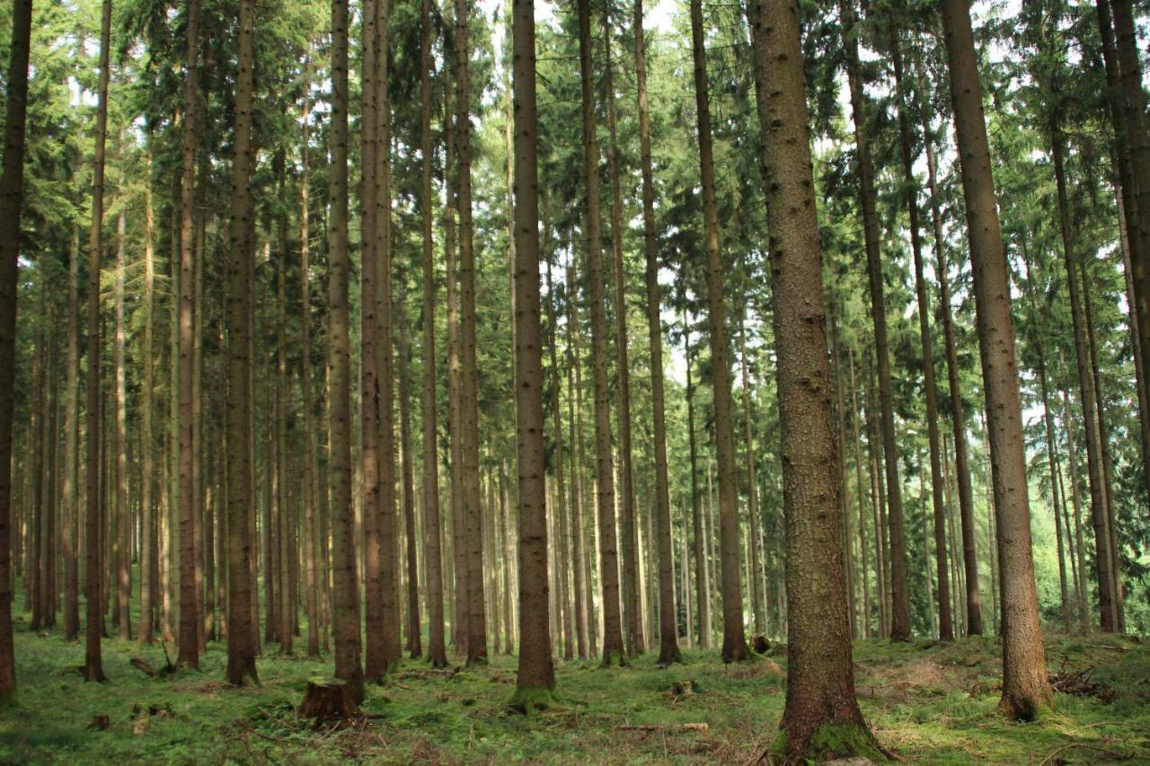 Ferienhaus "Gestiefelter Kater" Am See Im Bergland Kirchheim  Exterior foto